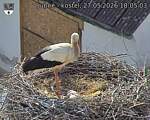 Capi_Dubne_20260527_180503.jpg