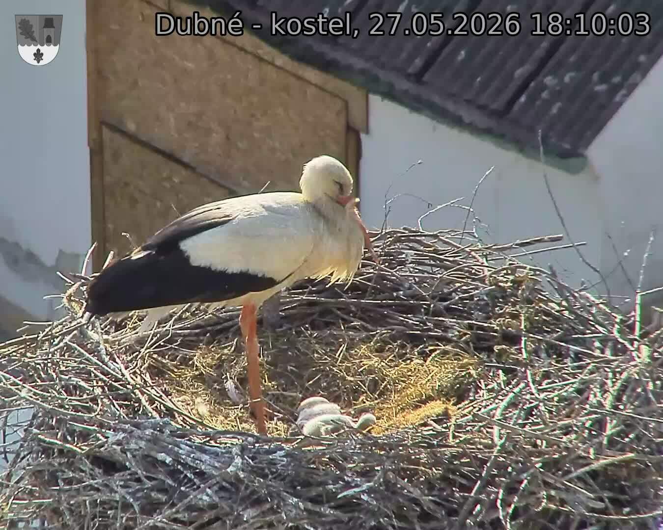 preload