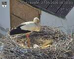 Capi_Dubne_20260527_181003.jpg