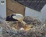 Capi_Dubne_20260527_182003.jpg