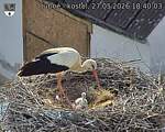 Capi_Dubne_20260527_184003.jpg
