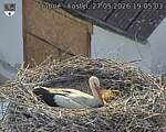 Capi_Dubne_20260527_190503.jpg