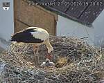 Capi_Dubne_20260527_192002.jpg