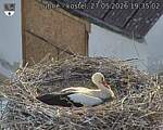 Capi_Dubne_20260527_193502.jpg