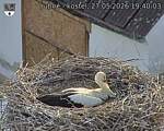 Capi_Dubne_20260527_194003.jpg