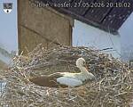 Capi_Dubne_20260527_201002.jpg