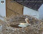 Capi_Dubne_20260527_201502.jpg