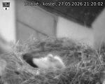 Capi_Dubne_20260527_212002.jpg