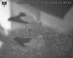 Capi_Dubne_20260527_214502.jpg