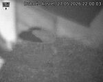 Capi_Dubne_20260527_220003.jpg