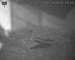 Capi_Dubne_20260528_012003.jpg