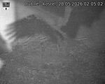 Capi_Dubne_20260528_020502.jpg