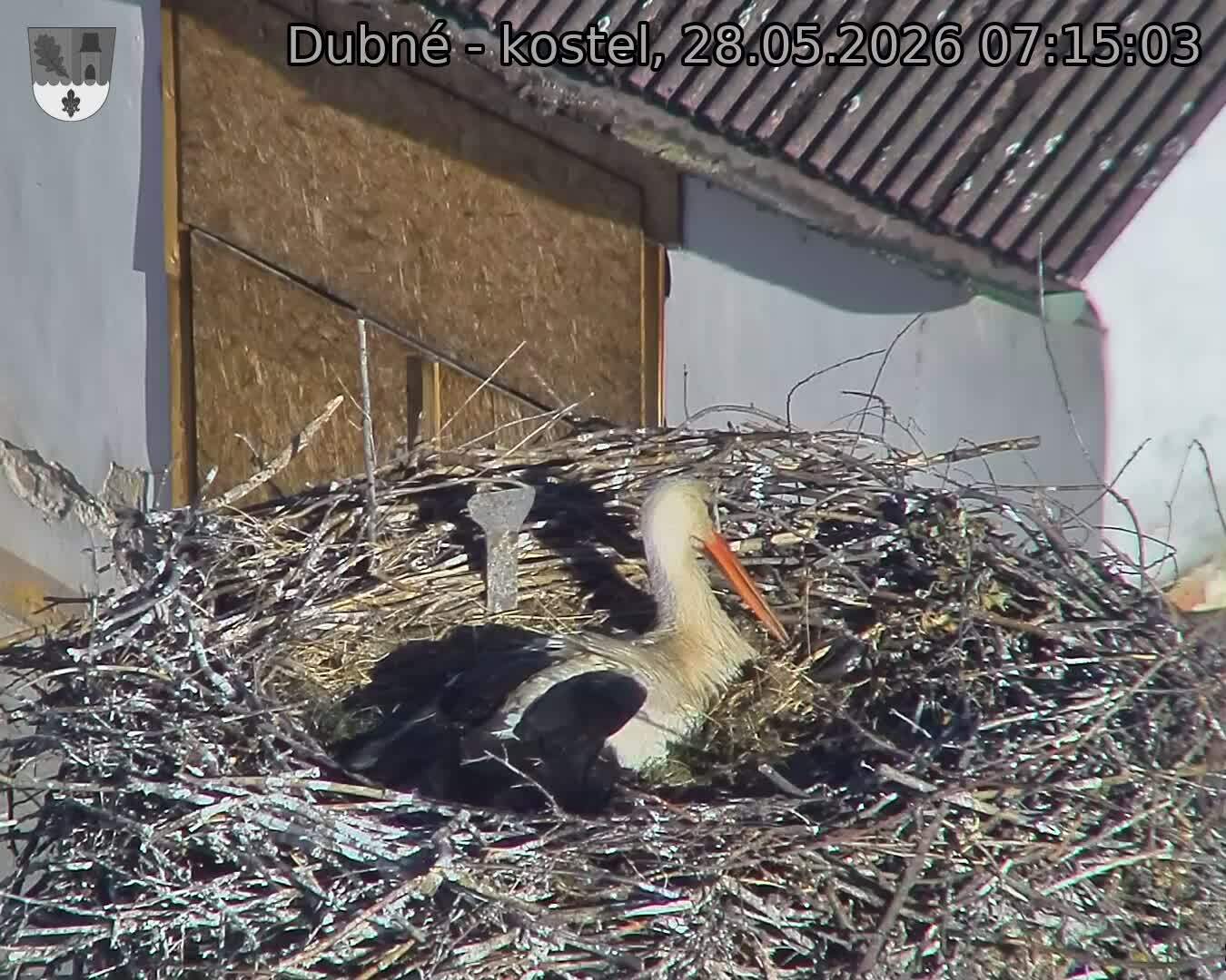 Capi_Dubne_20260528_071503.jpg (1350&nbsp;x&nbsp;1080)