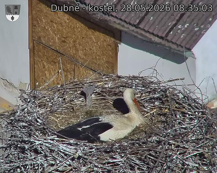 preload