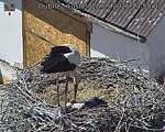 Capi_Dubne_20260528_135503.jpg