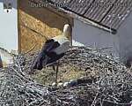 Capi_Dubne_20260528_140003.jpg