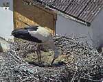 Capi_Dubne_20260528_142503.jpg