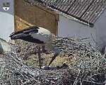 Capi_Dubne_20260528_144003.jpg