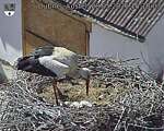 Capi_Dubne_20260528_151003.jpg