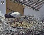 Capi_Dubne_20260528_151503.jpg
