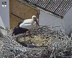 Capi_Dubne_20260528_152503.jpg