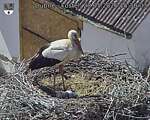Capi_Dubne_20260528_153003.jpg