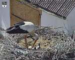 Capi_Dubne_20260528_154003.jpg