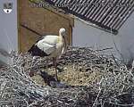 Capi_Dubne_20260528_154503.jpg