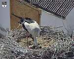Capi_Dubne_20260528_160502.jpg