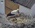 Capi_Dubne_20260528_163503.jpg