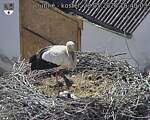 Capi_Dubne_20260528_164003.jpg