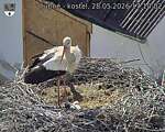 Capi_Dubne_20260528_171002.jpg