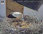 Capi_Dubne_20260528_172002.jpg
