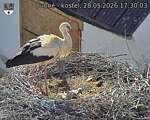 Capi_Dubne_20260528_173003.jpg