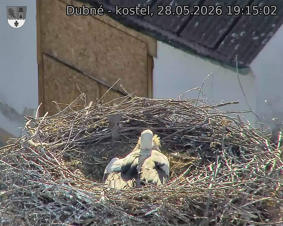 preload