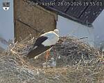Capi_Dubne_20260528_195503.jpg