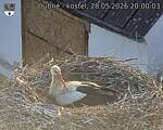 Capi_Dubne_20260528_200003.jpg