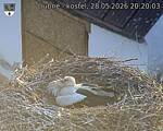 Capi_Dubne_20260528_202003.jpg