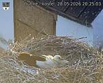 Capi_Dubne_20260528_202503.jpg