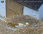 Capi_Dubne_20260528_203002.jpg