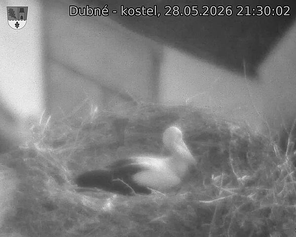 Capi_Dubne_20260528_213002.jpg (1350&nbsp;x&nbsp;1080)