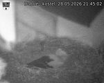 Capi_Dubne_20260528_214502.jpg