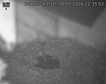 Capi_Dubne_20260528_223502.jpg