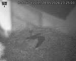 Capi_Dubne_20260528_232503.jpg
