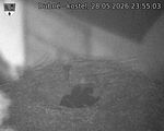Capi_Dubne_20260528_235503.jpg