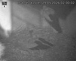 Capi_Dubne_20260529_020002.jpg