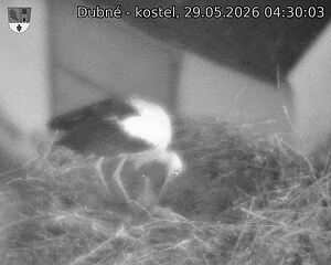 preload