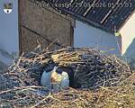 Capi_Dubne_20260529_055503.jpg