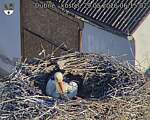 Capi_Dubne_20260529_061502.jpg