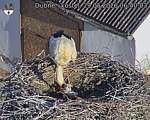 Capi_Dubne_20260529_064003.jpg